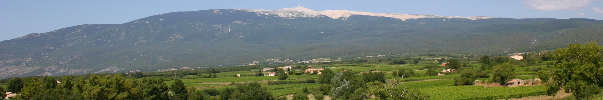 Les vignes sur fond du Mont Ventoux à Châteauneuf-du-Pape