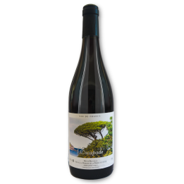 Vin de France Rge, 75cl